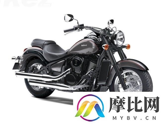 Kawasaki VN 900 Classic Special Edition 2014 参数表